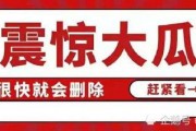 吃瓜娱乐百科大全免费阅读,吃瓜娱乐百科大全免费阅读全解析