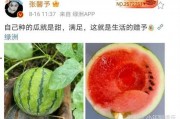 娱乐圈哪里吃瓜好吃,揭秘各大热门地点的“吃瓜”盛宴